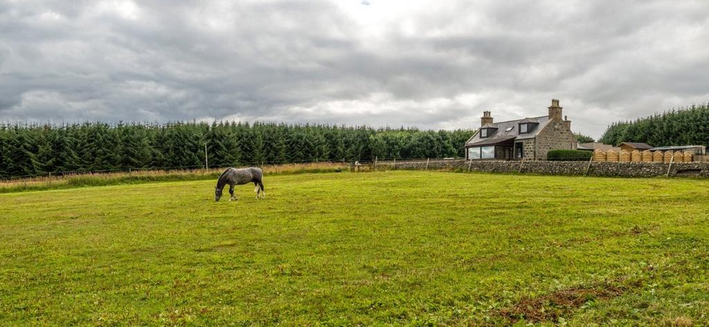 House With Paddock