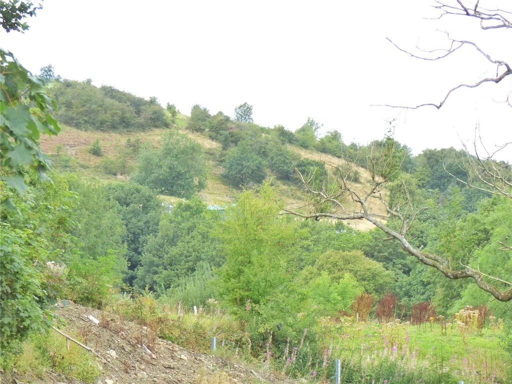 Countryside View: