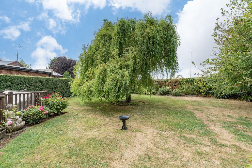 Garden at Back