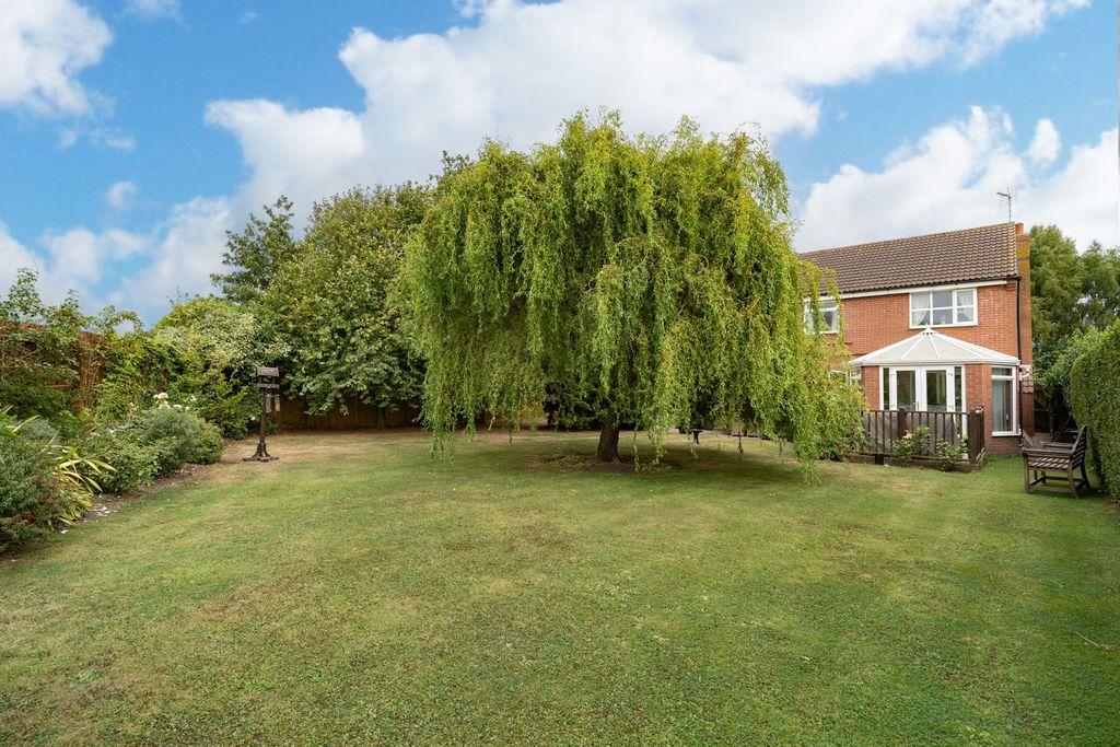 Garden at Back