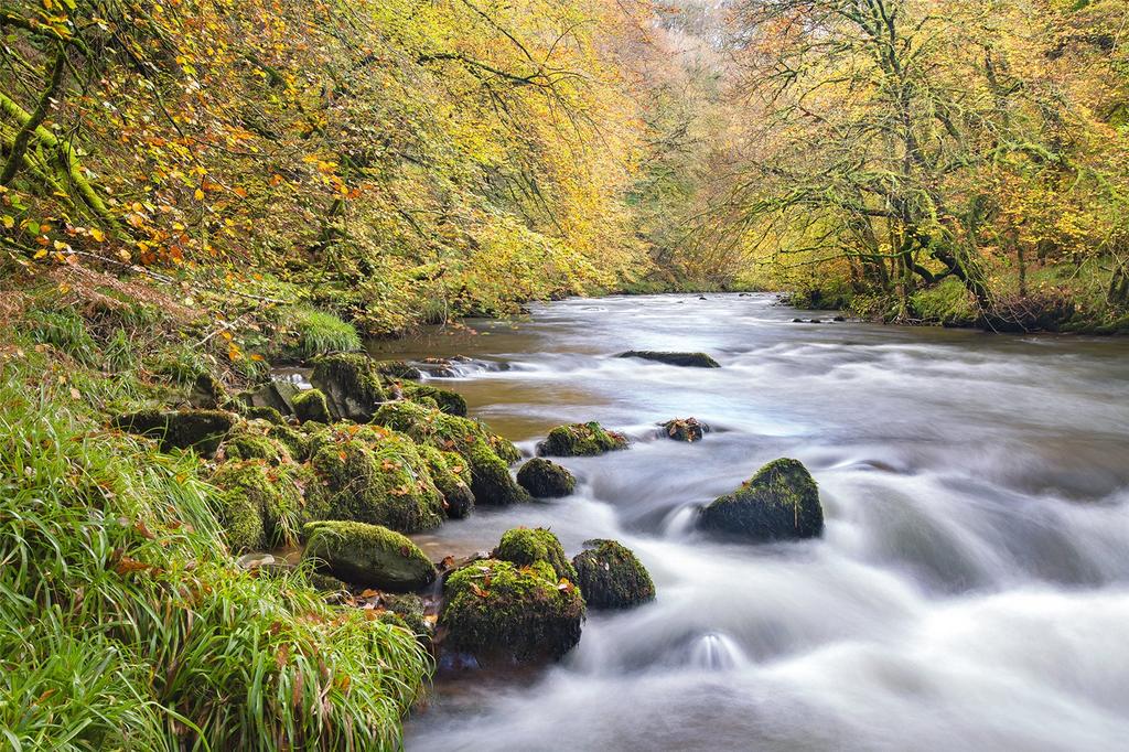 Exmoor