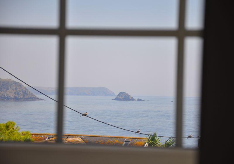 Window