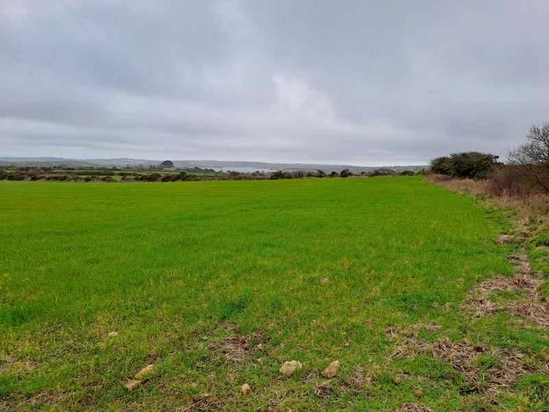 Land