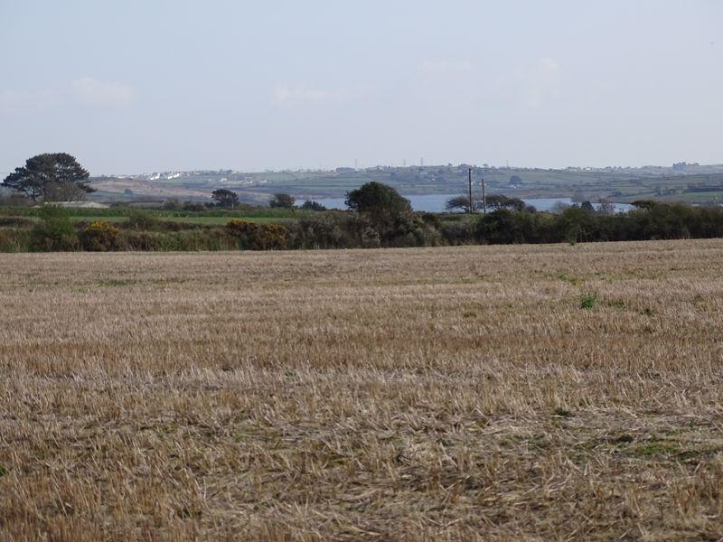 Land