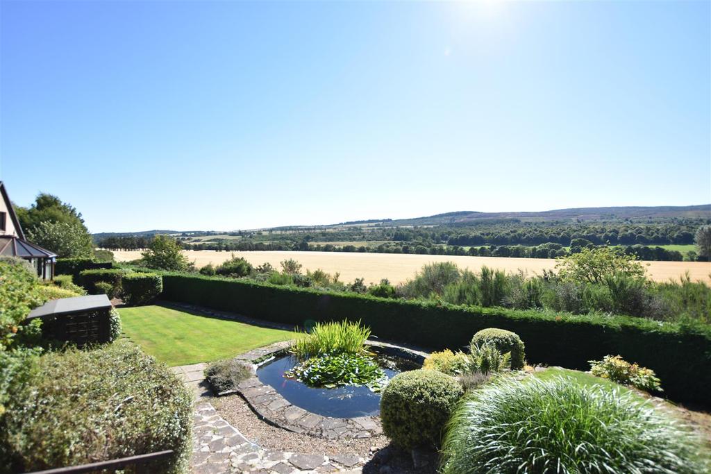 Garden view.JPG