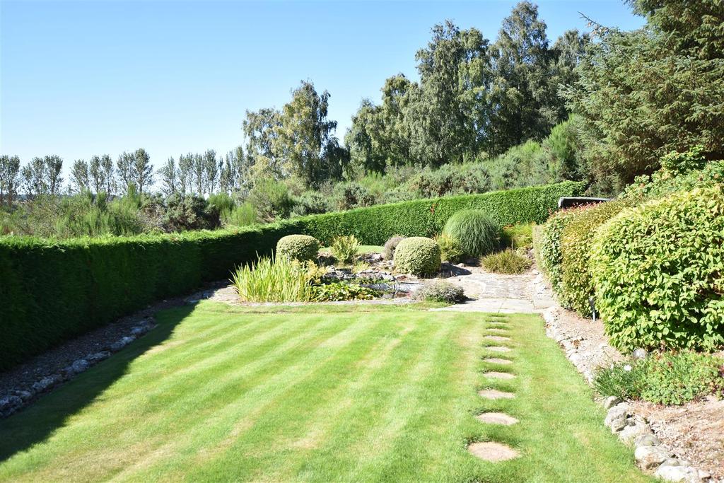 Lawn.JPG
