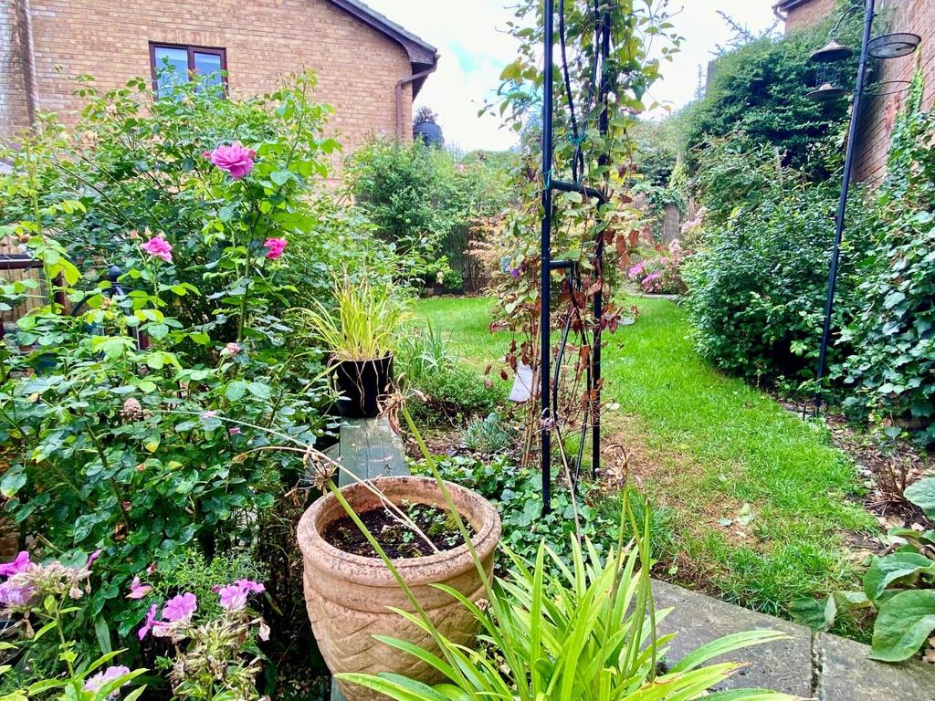 Garden2.jpg