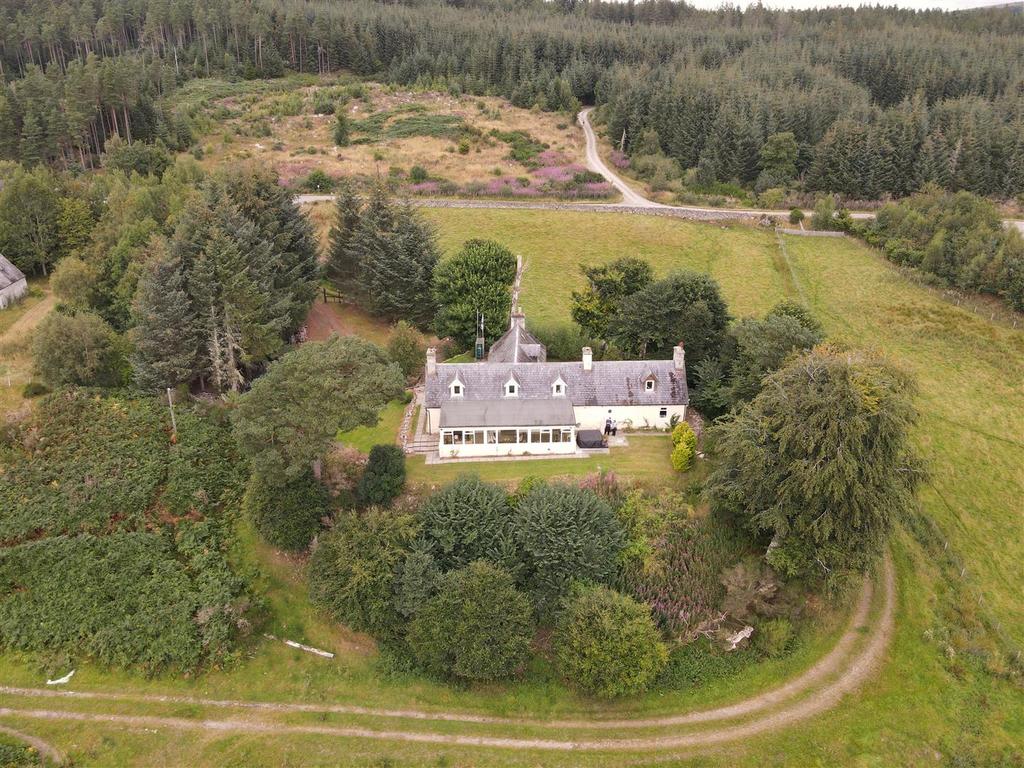 Dji 0867.jpg