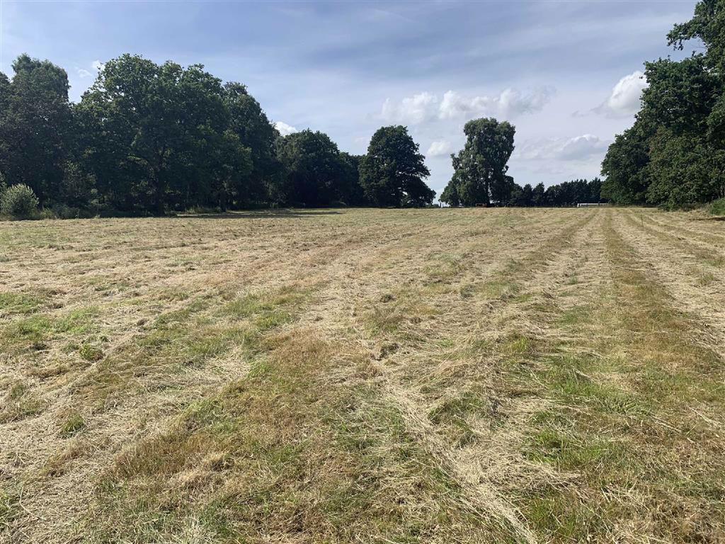 Ercall Heath, Newport, TF10 Land for sale £50,000