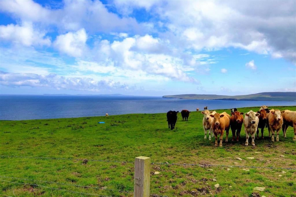 Costa, Evie, Orkney 3 bed cottage £230,000