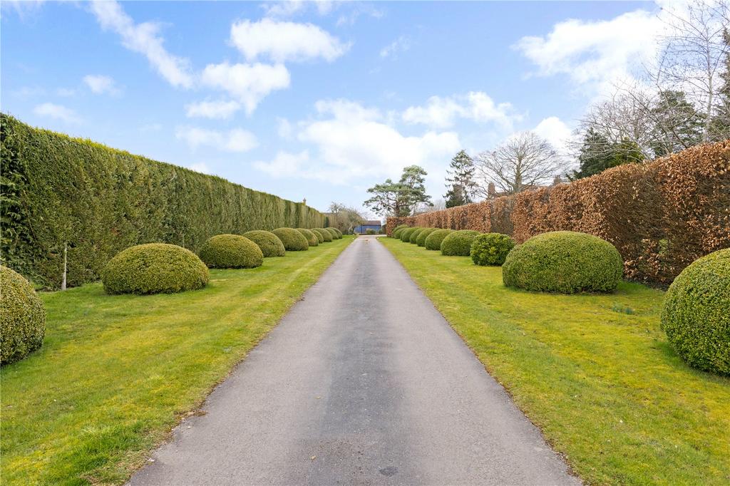Driveway