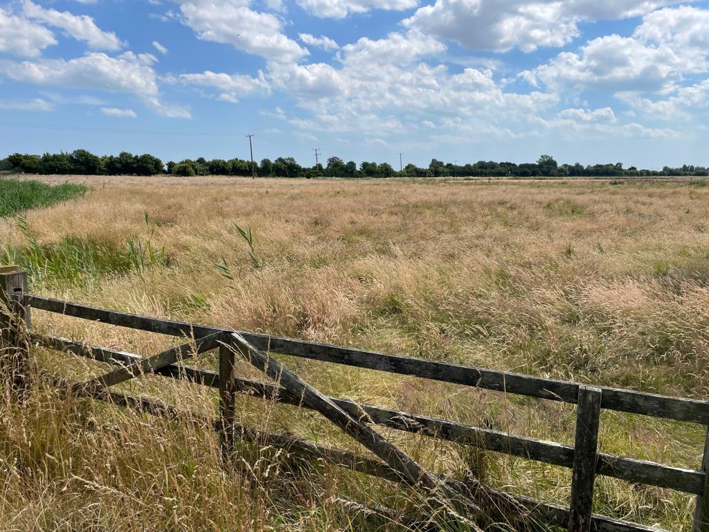 View towards A2070 from Ashford Road