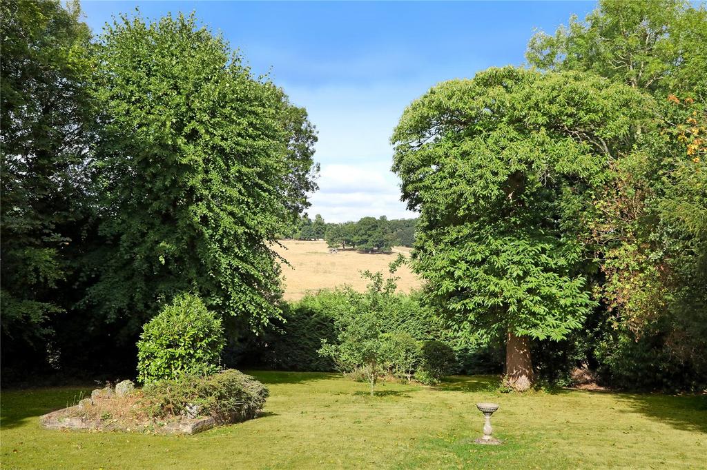 Garden/View