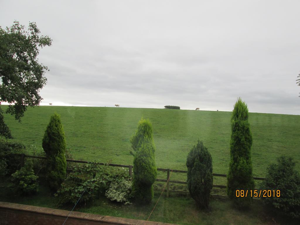 View from the back