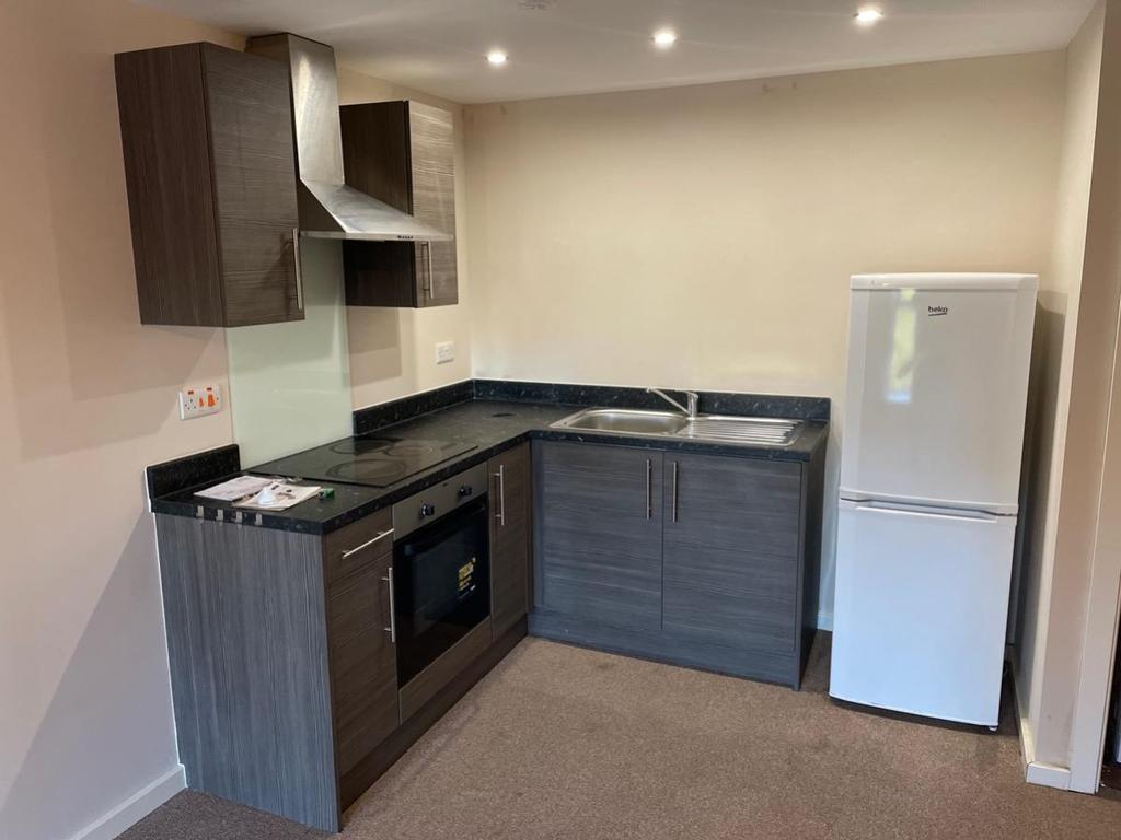 Open Plan Kitchen and Living Area