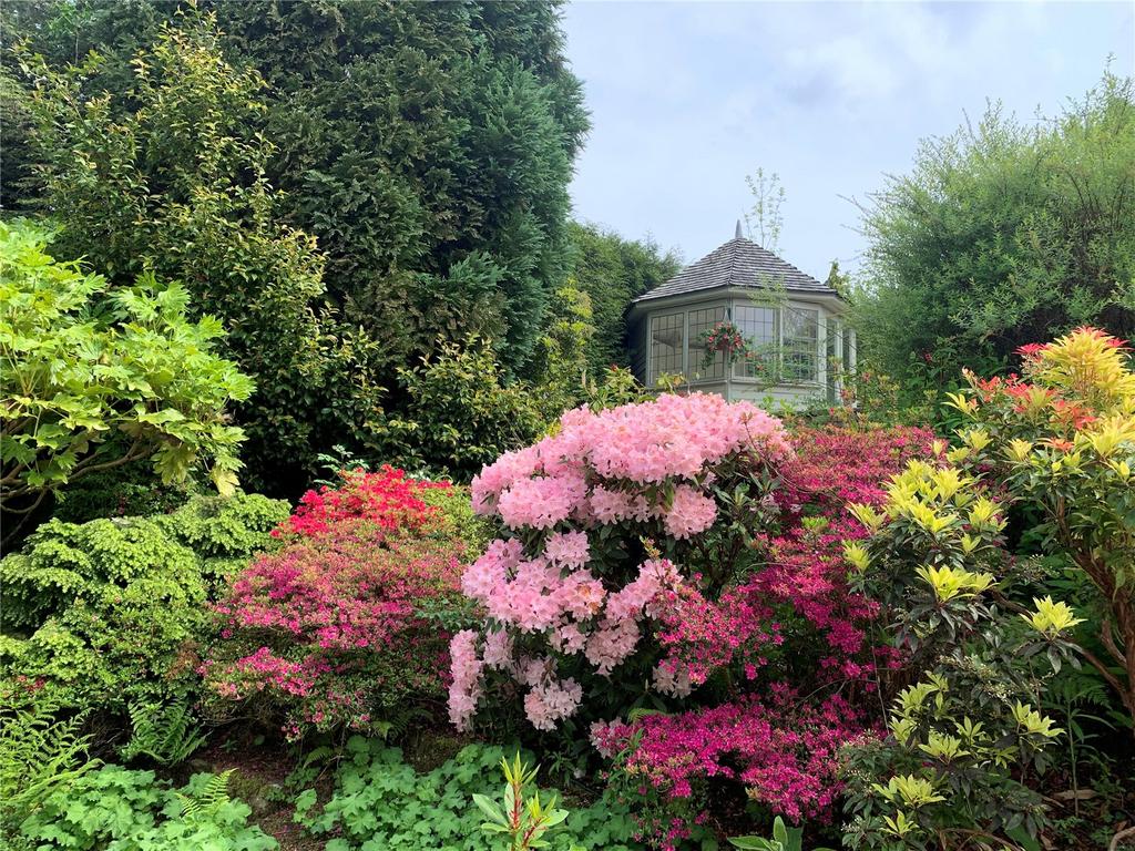 Garden Flowers