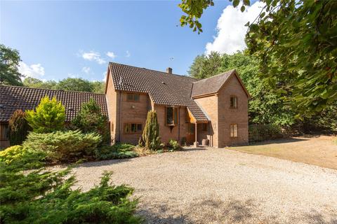 8 bedroom detached house for sale - Common Lane, Great Witchingham, Norfolk, NR9