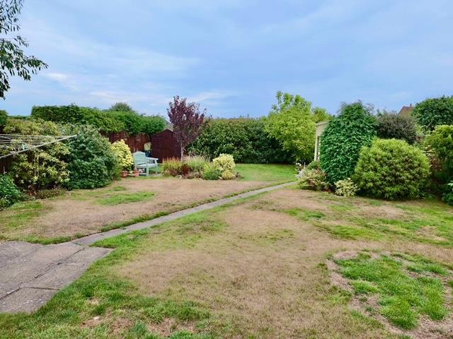 Garden1.jpg