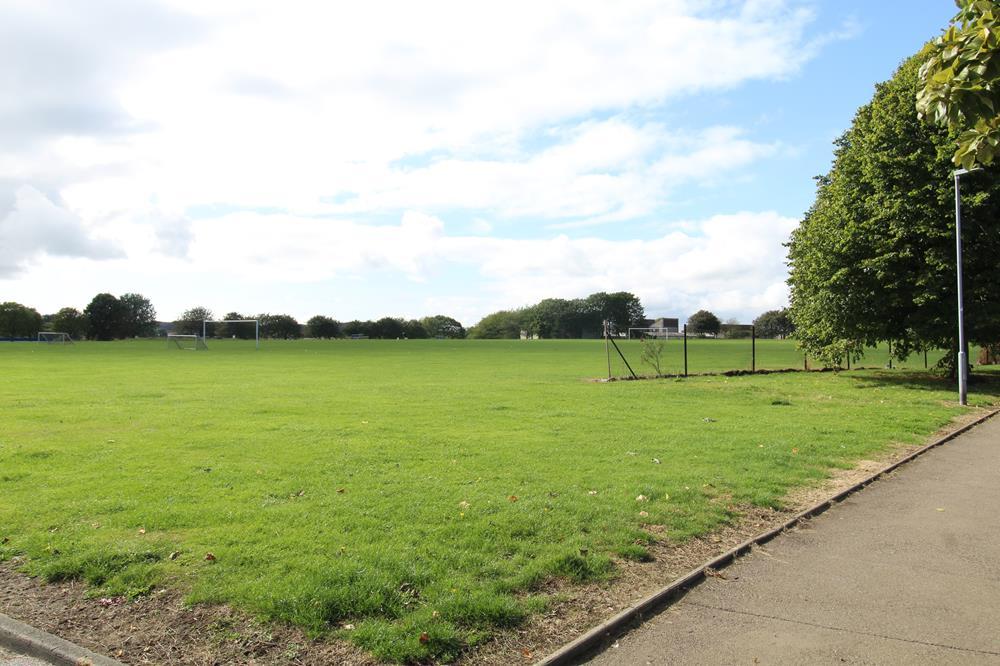 Field