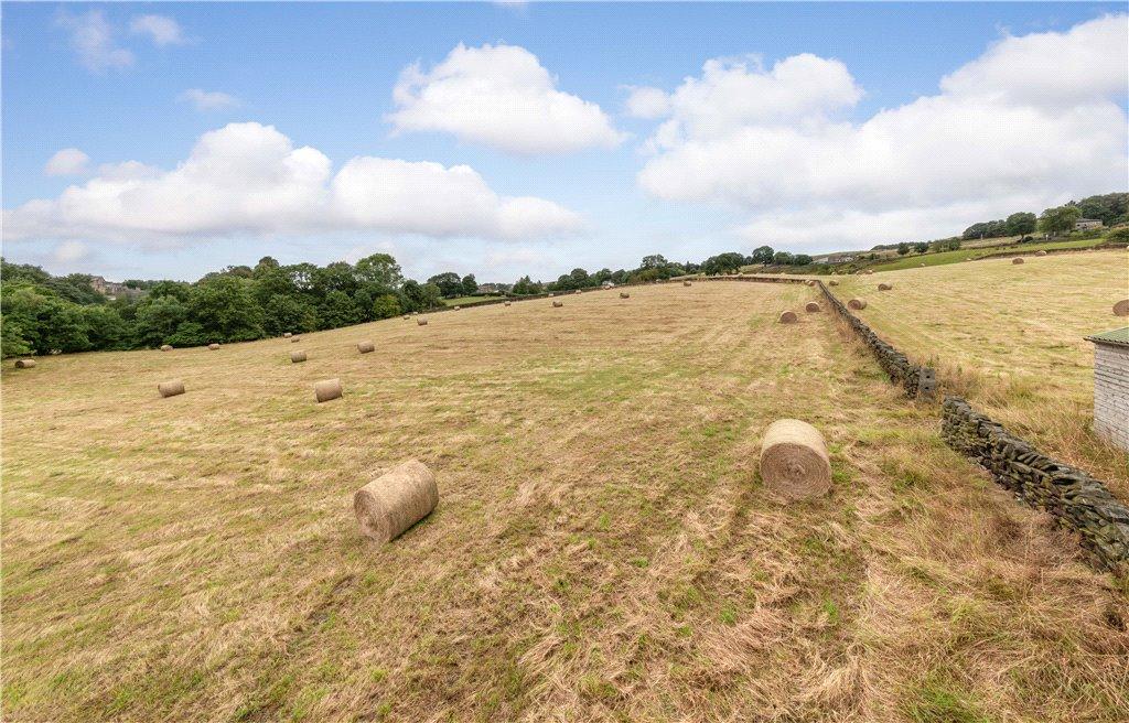 Grazing Land