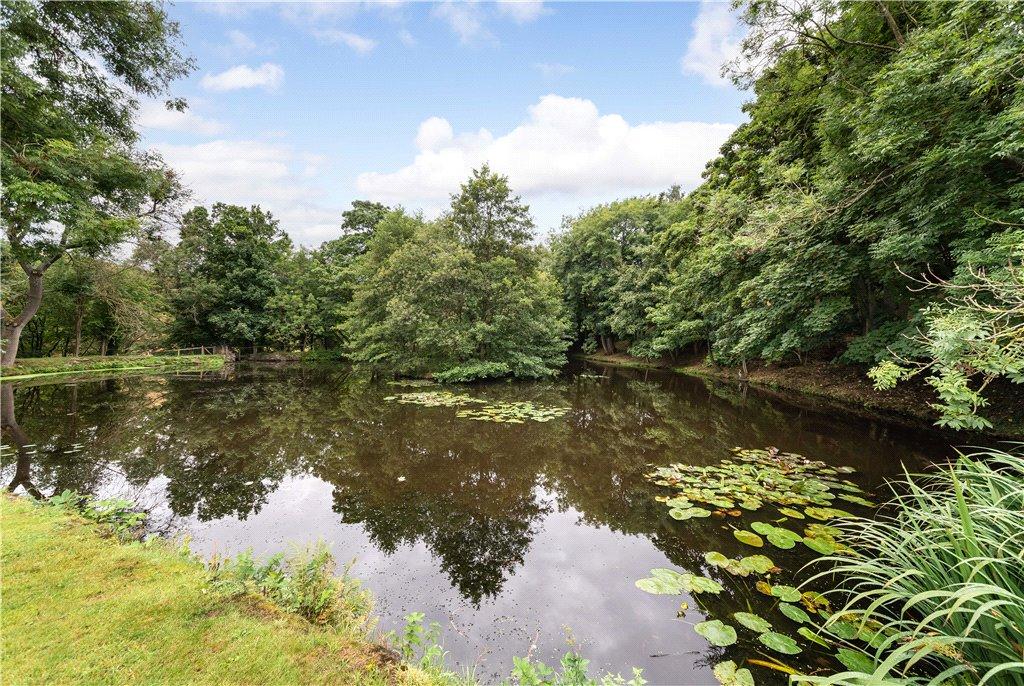 Mill Pond