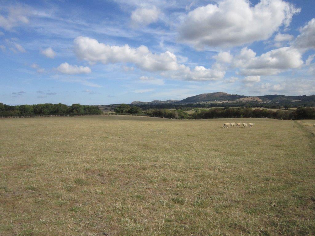 Mount Road, St. Asaph Land