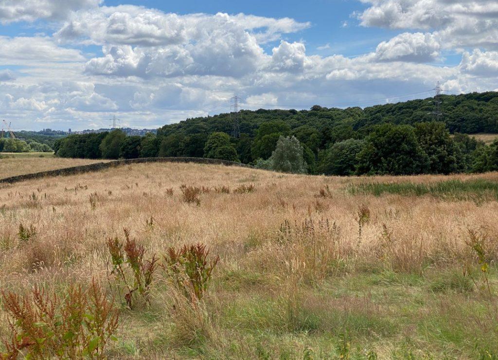 Woodlands Drive, Rawdon Land for sale £20,000