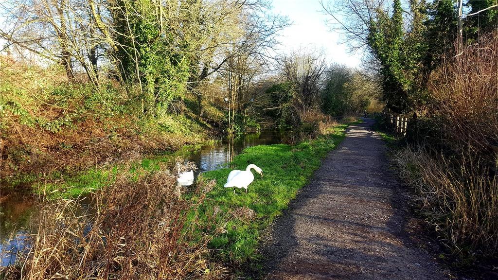 Riverside Walks