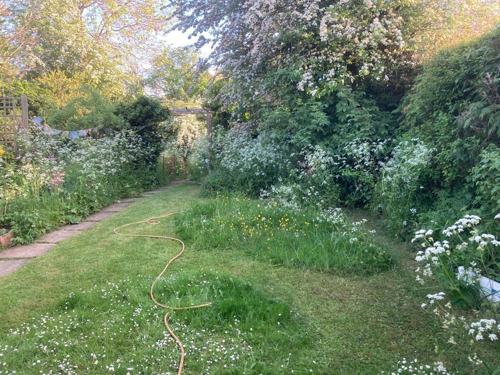 External Grounds