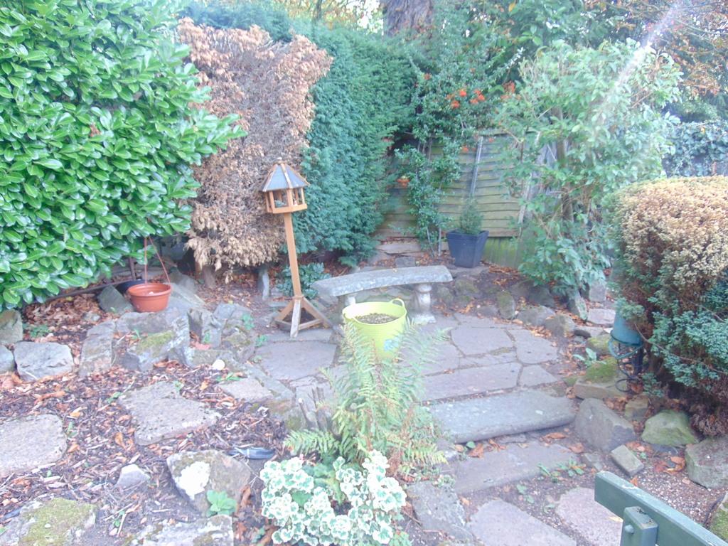 Dsc07043.jpg