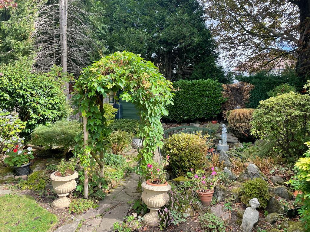 Garden 3.JPG