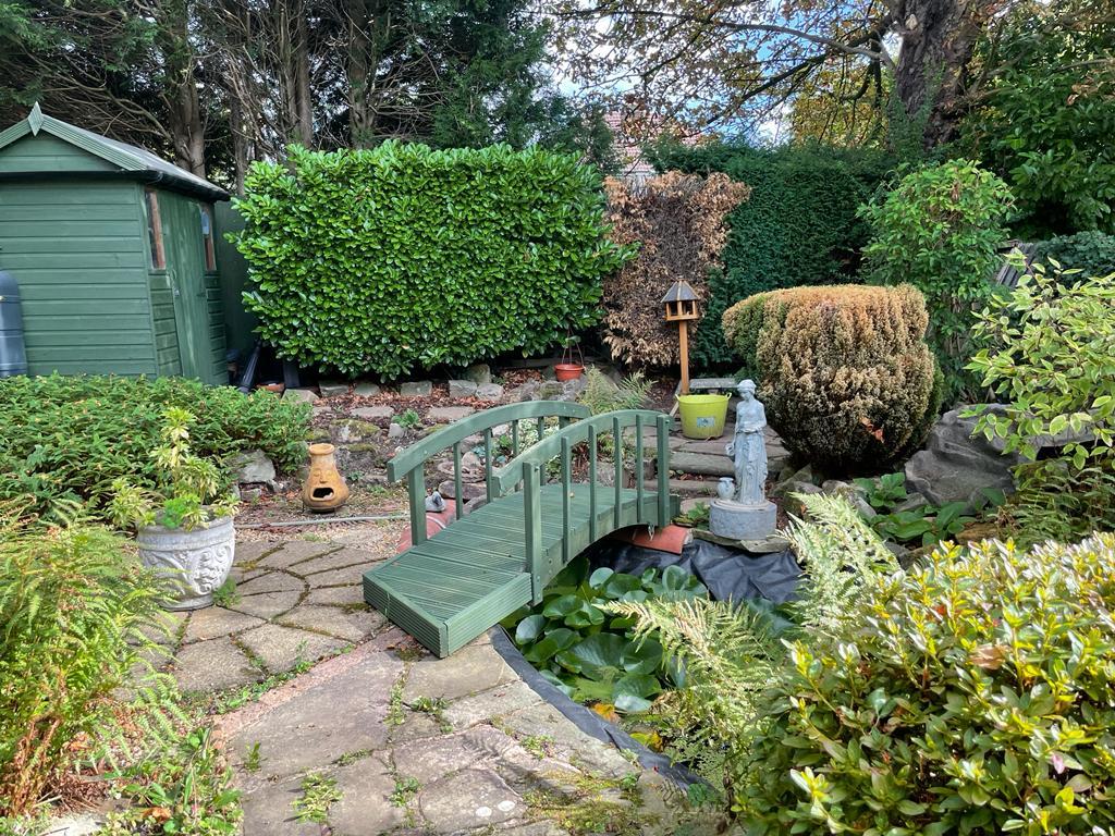 Garden 4.JPG