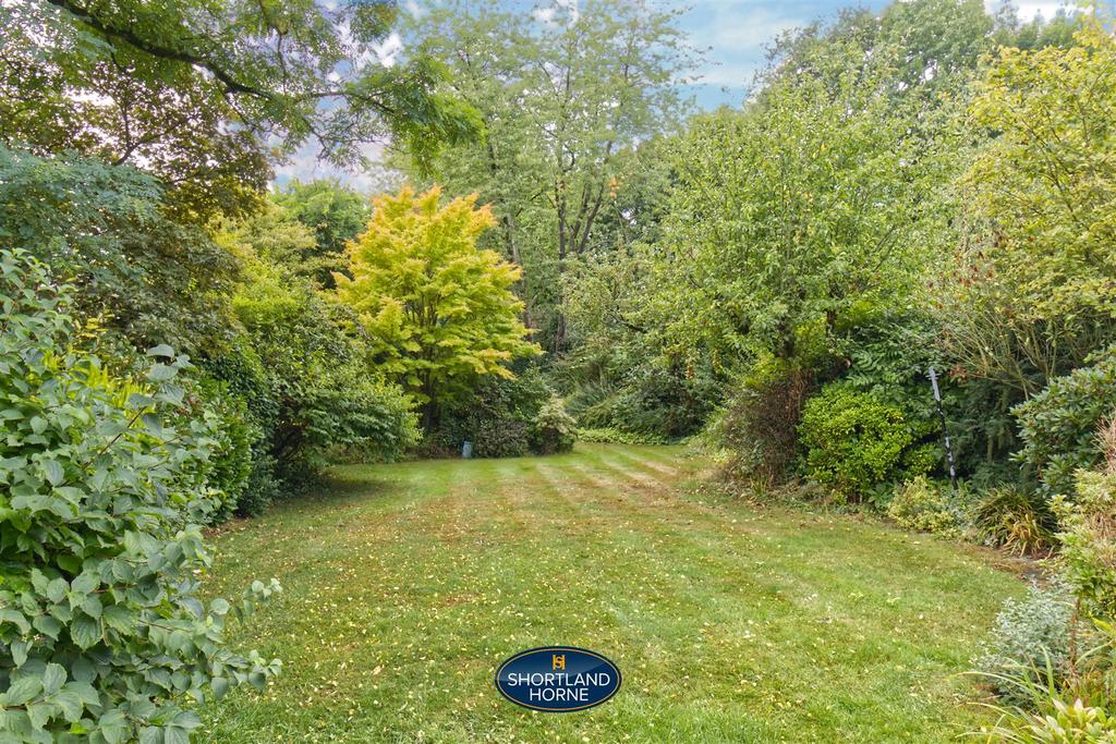 Garden 1.jpg