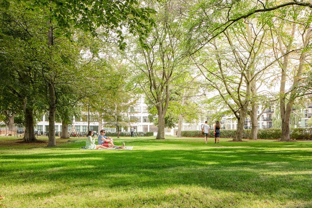 Hayes External