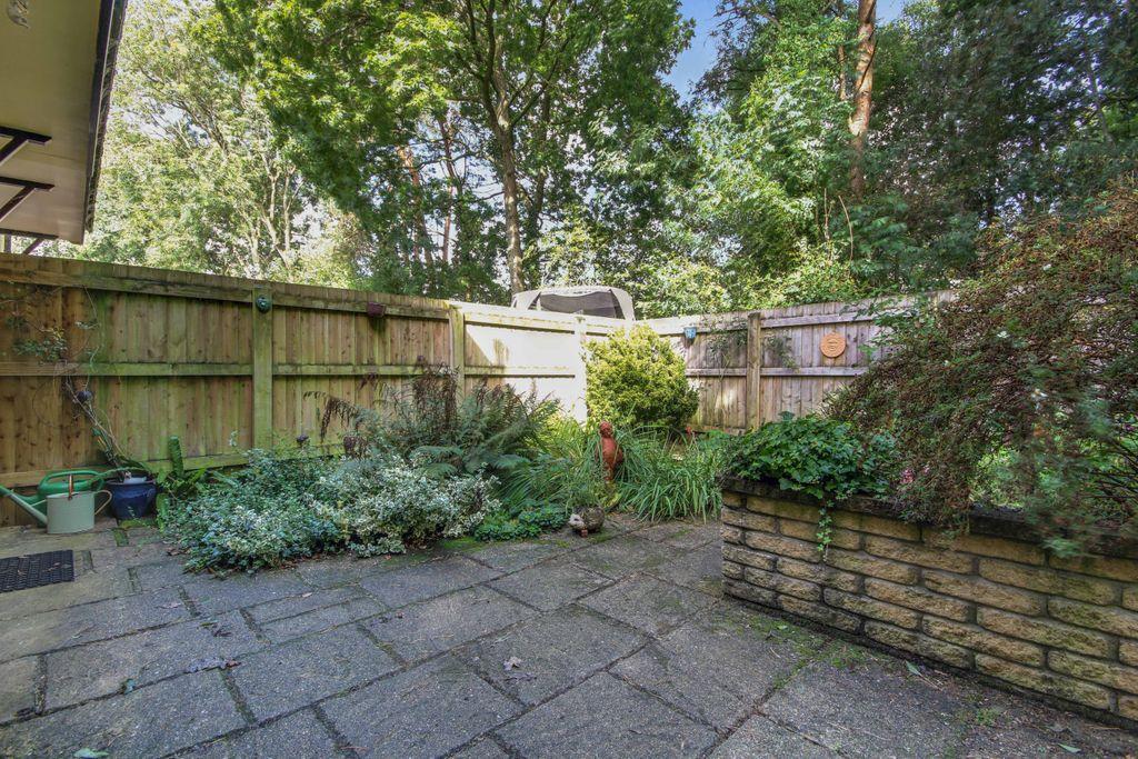 Garden at Back