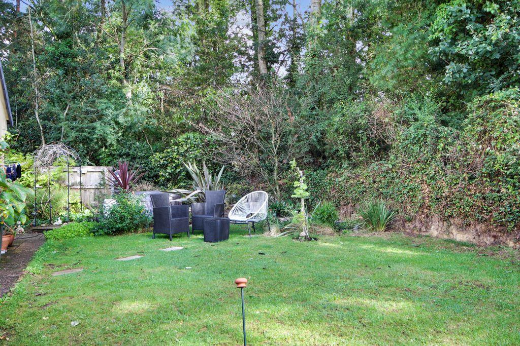 Garden at Back