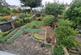Garden.