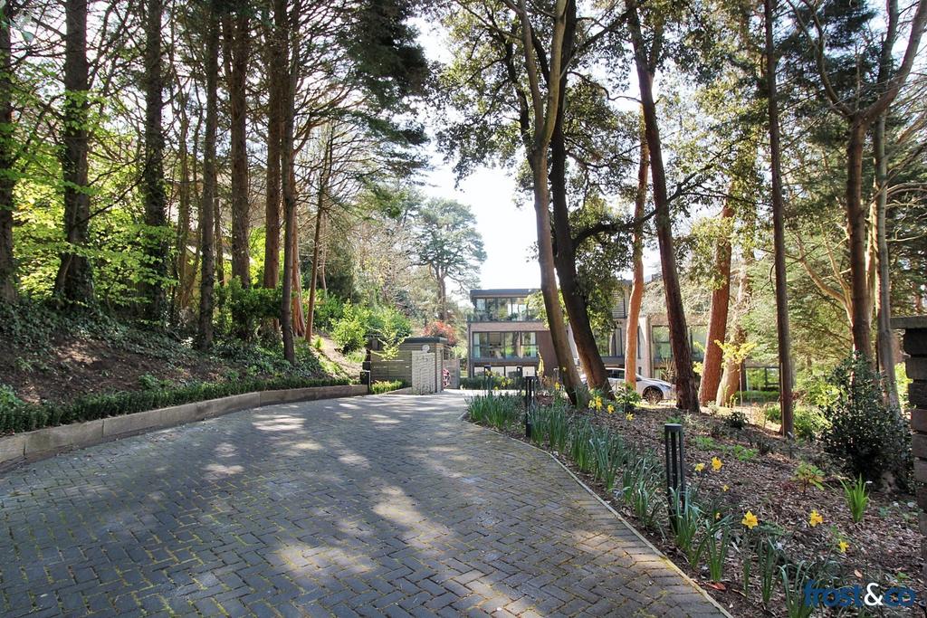 Driveway