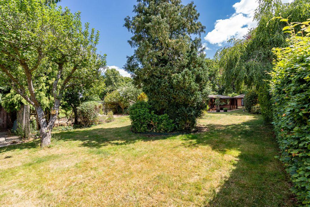 Garden at Back