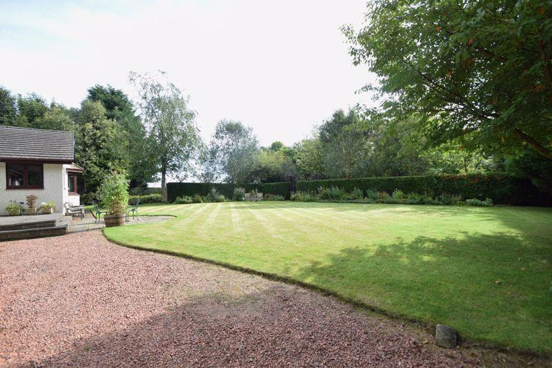 Garden 2