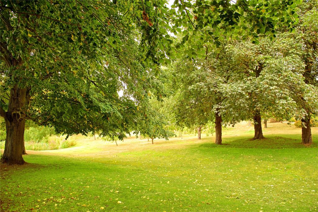 Grounds