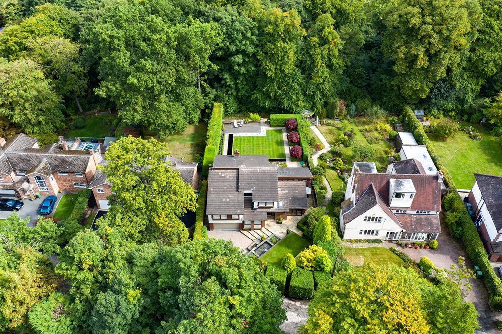 Aerial Plot