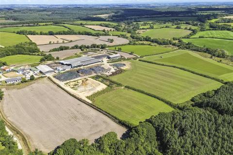 Farm for sale - Langaford Farm- Whole, Ashwater, Beaworthy, Devon, EX21