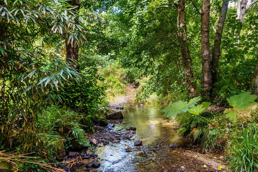 Stream