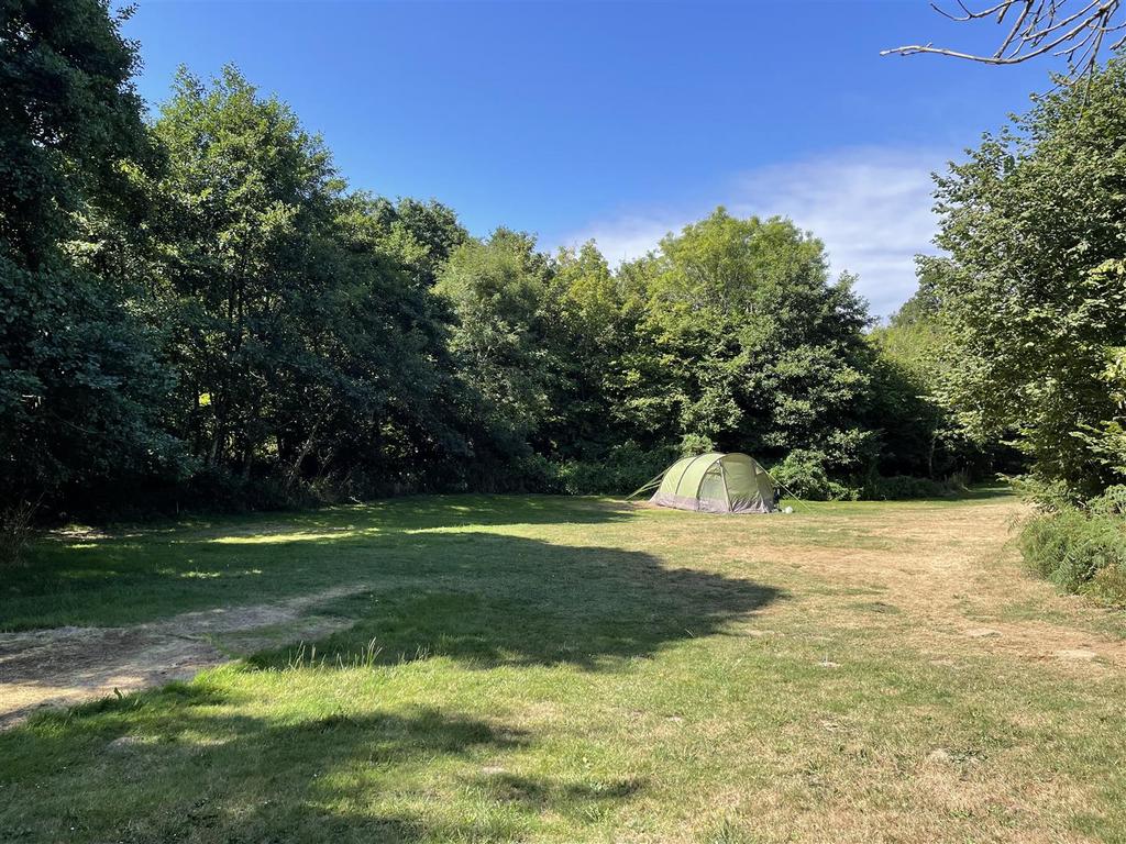 Camp field