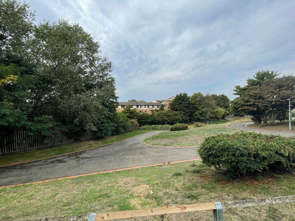 View from Property at Back