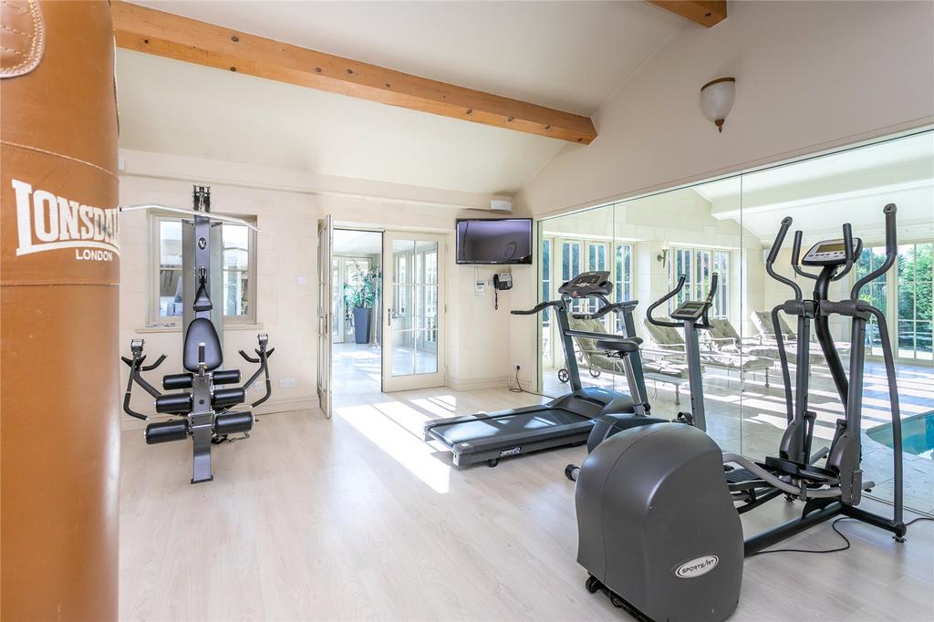 Gymnasium