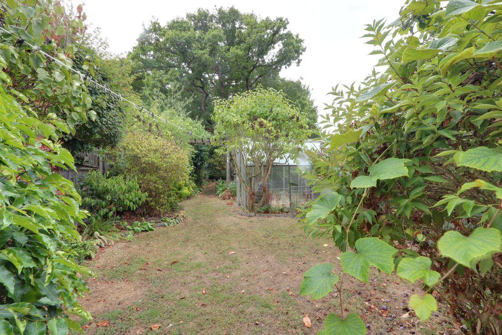 Garden at Back
