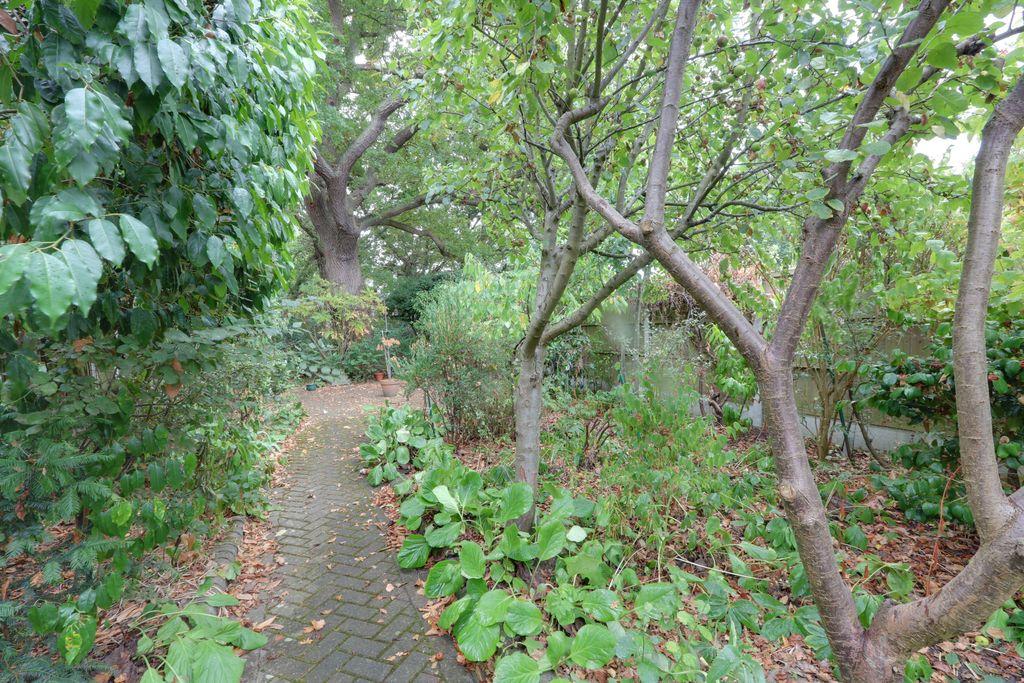 Garden at Back