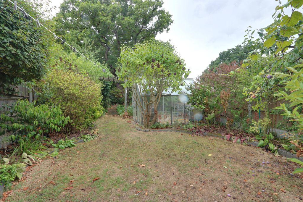 Garden at Back